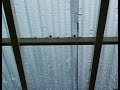 December Hail Shower December Hail Shower