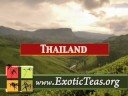Teas of China & Far east Teas of China & Far east
