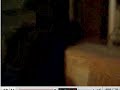 ghostly figure response