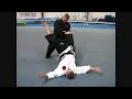 Kick Defense - Gendai Aikido