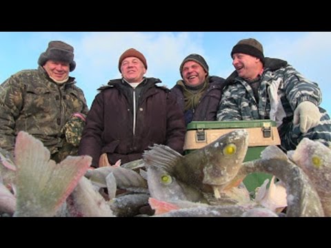 берфорум рыбалка видео берфорум рыбалка видео