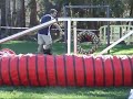 Cocker Trantor Beja Out 2008 - Agility Cocker Trantor Beja Out 2008 - Agility