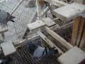 PALOMAS BUCHONAS, ALGUNOS PICHONES DE RAZA ESTILO ARGENTINO