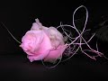 *** Ilumina-me ***