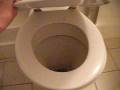 toilet wench strikes again