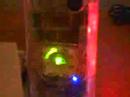 Hive Board  www.AcidMods.Com