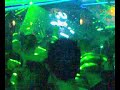 Carl Cox Space Closing Party 07