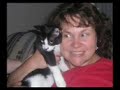 My Cats - In the End