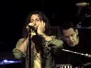 I Feel Alright - Roger Clyne & the Peacemakers