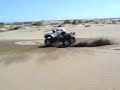 Cuikas en la motoo