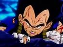 Vegeta tribute