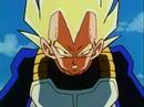 Vegeta tribute