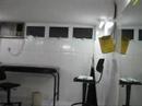 cadar tattoo cadar tattoo