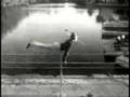Swing Wing 1960s commercial