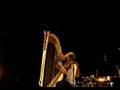 Inflammatory Writ Joanna Newsom