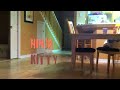 , Kid Gets Drop Kicked By Cat