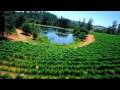 Murphy-Goode Winery - A Really Goode Job