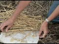 Osmocote Gardening Tip 4 Weeds Osmocote Gardening Tip 4 Weeds