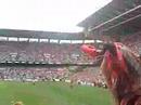 Athletic zu zara nagusia!