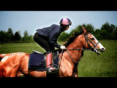 jockey - The British Racing School provides World Class Jockey Training to jockeys from all over the world. We have a scientific approach to training using only the b...