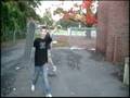 videos de thorwaway. cam