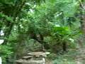 videos de Posestvo Richarda1