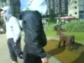 videos de 00Craig n mikey in twn center!