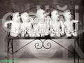 anneler g�n�