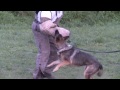 Őrző-védő munka