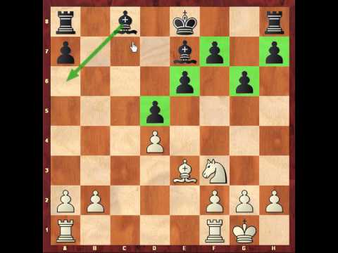 chess candidates 2013