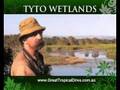 Tyto wetlands