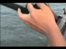 Jorge_Fishin project