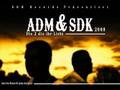 Das Ende der Welt-Aster