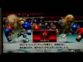 Wii Boxing Video