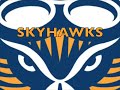 Syhawk spin terminator2