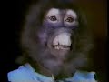 The Monkey Tape