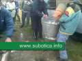 videos de Ples amura