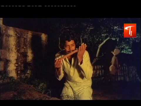 ananda bhyravi, classical songs, entertainment, video songd, telugu language, tv, short film, trailers, etv, maa tv. local tv