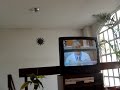 MOV00053.MPG