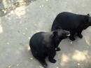 Bei Jing Zoo