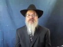 YouParsha - Pinchas 5768