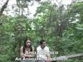 Amazon Rainforest, Ecuador - YouTube