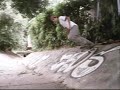 ALE longskate