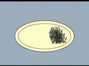 Himno Nacional de Colombia - Ekhymosis (Animación del coro)