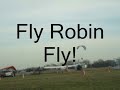 Fly Robin Fly!