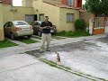 helimax axe hovereando