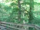 Paseando por Mammoth Cave National Park - Kentuky Paseando por Mammoth Cave National Park - Kentuky