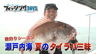 【フィッシングDAYS】#65 数釣りシーズン 瀬戸内海 夏のタイラバ三昧