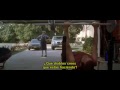 American Beauty - Videos - 5