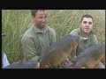 Four Carpers. Mequinenza y Alto Tajo I